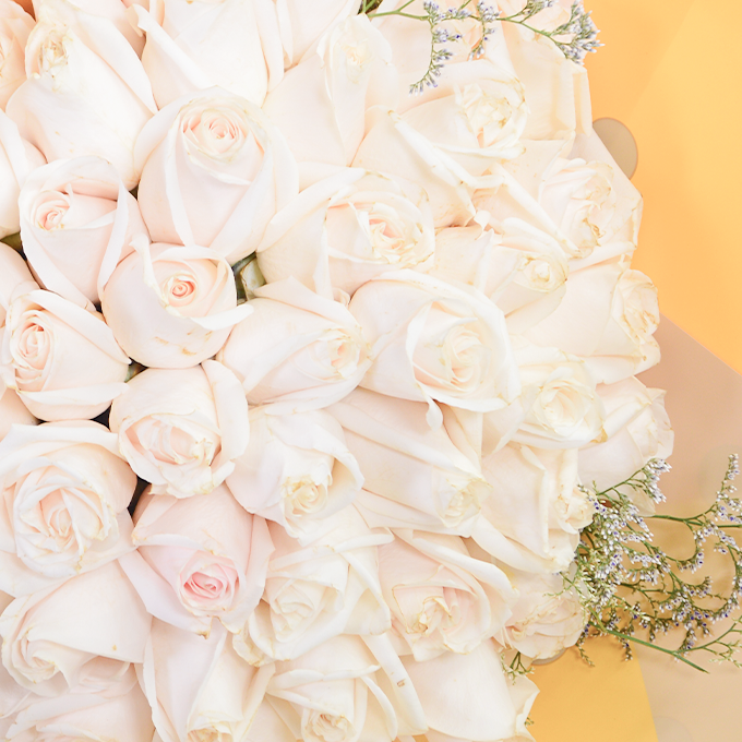 Bouquet Blanca de 50 Rosas