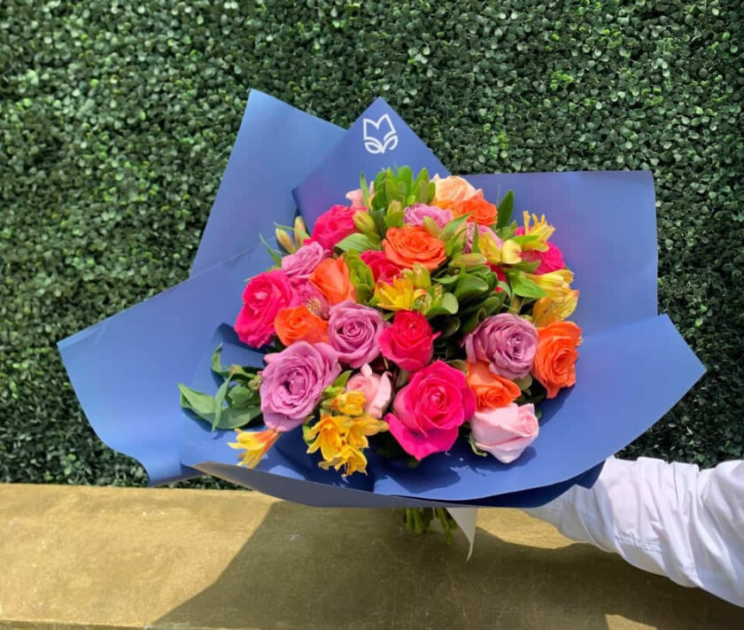 24 Rosas