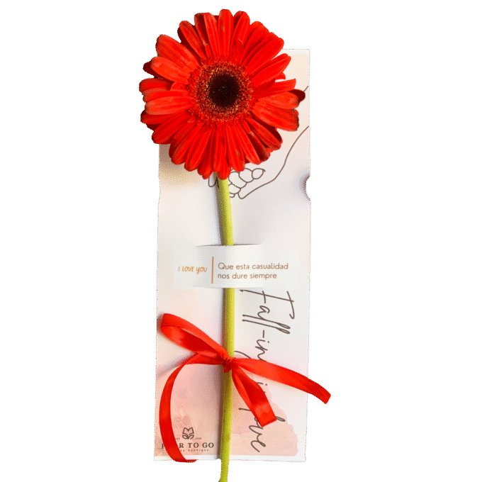 Flor en Tarjeta