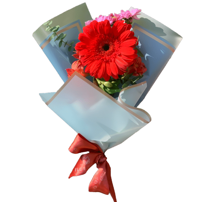 Gerbera Decorada