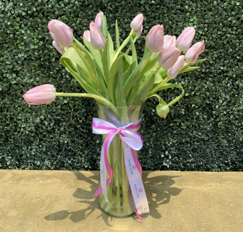 20 Tulipanes