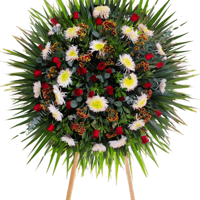 Corona Gracia